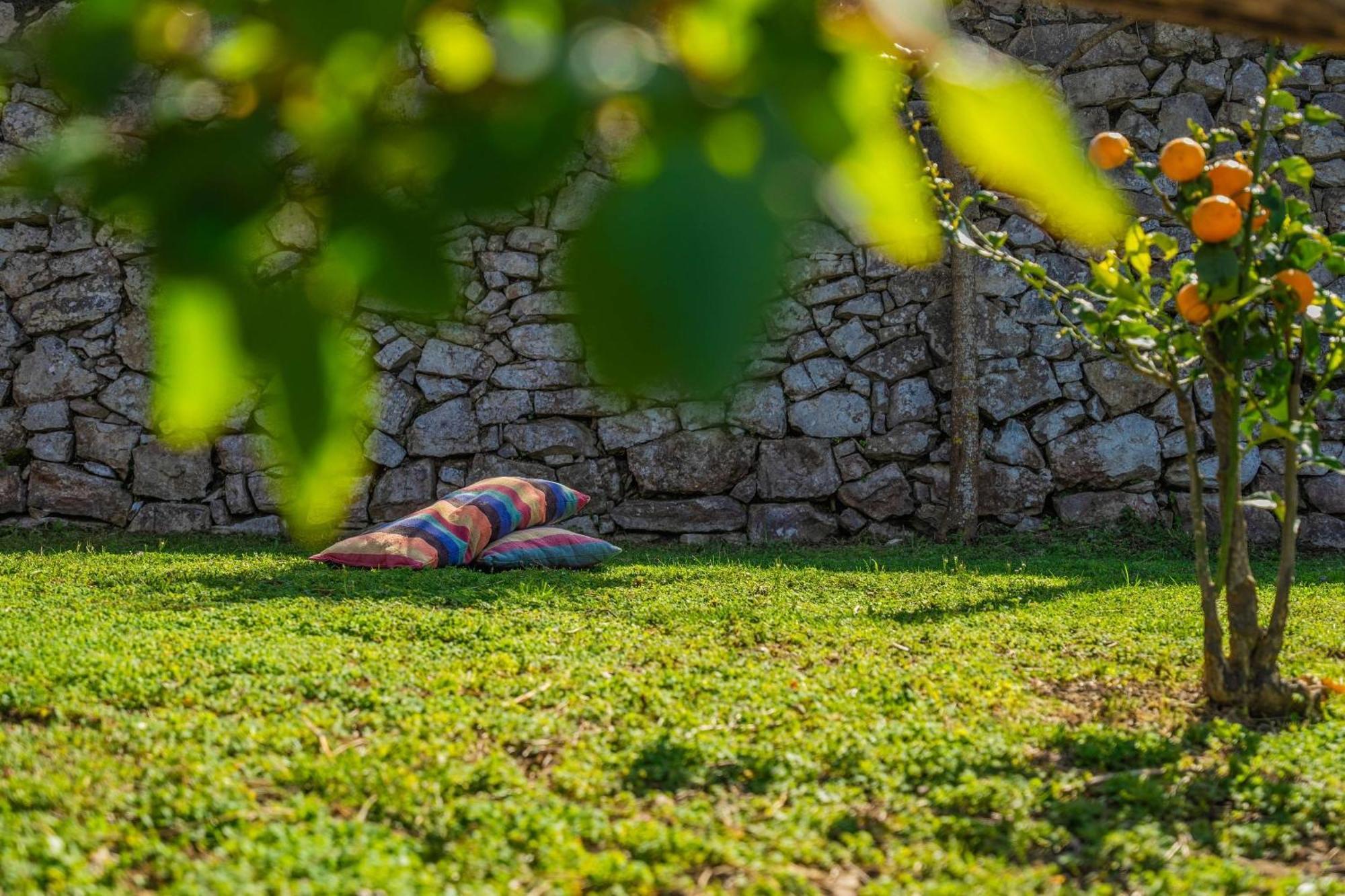 L'Antica Pigna Chateau 비코에쿠엔세 외부 사진