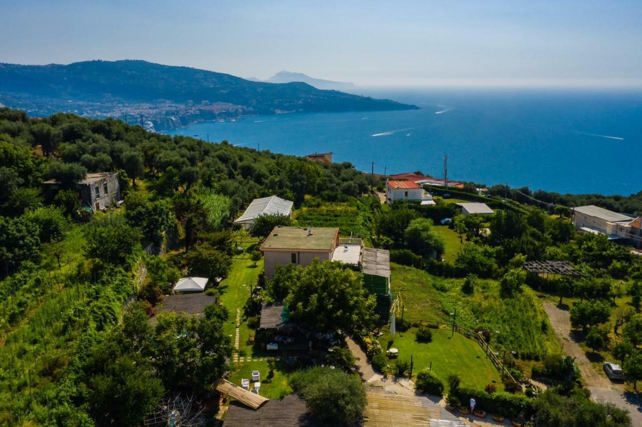 L'Antica Pigna Chateau 비코에쿠엔세 외부 사진